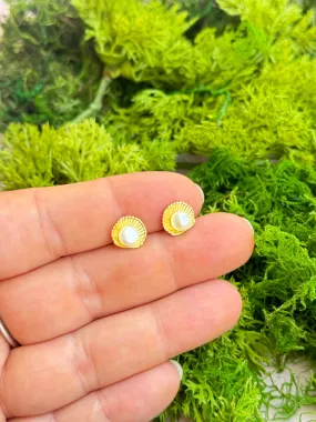 Shell & Pearl Studs
